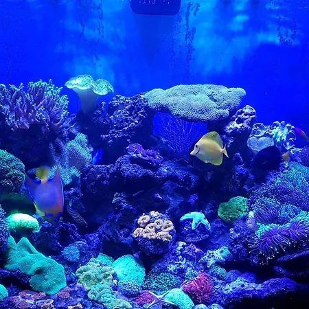 De Londres Ξενοδοχείο