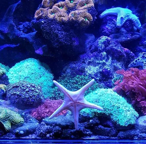 De Londres Hotel Riccione