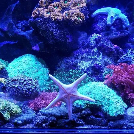 De Londres Hotel Riccione