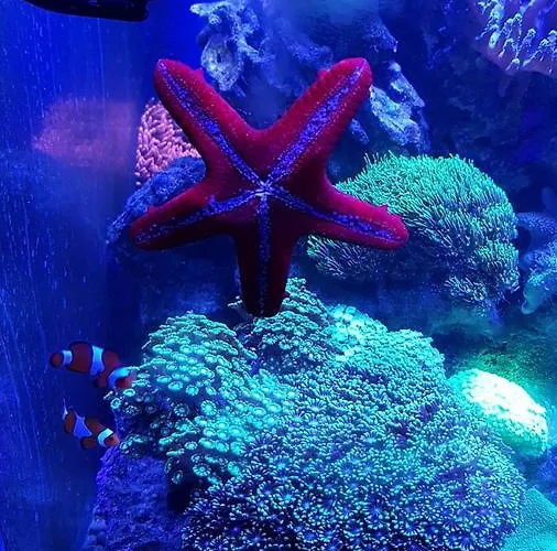 Szálloda De Londres